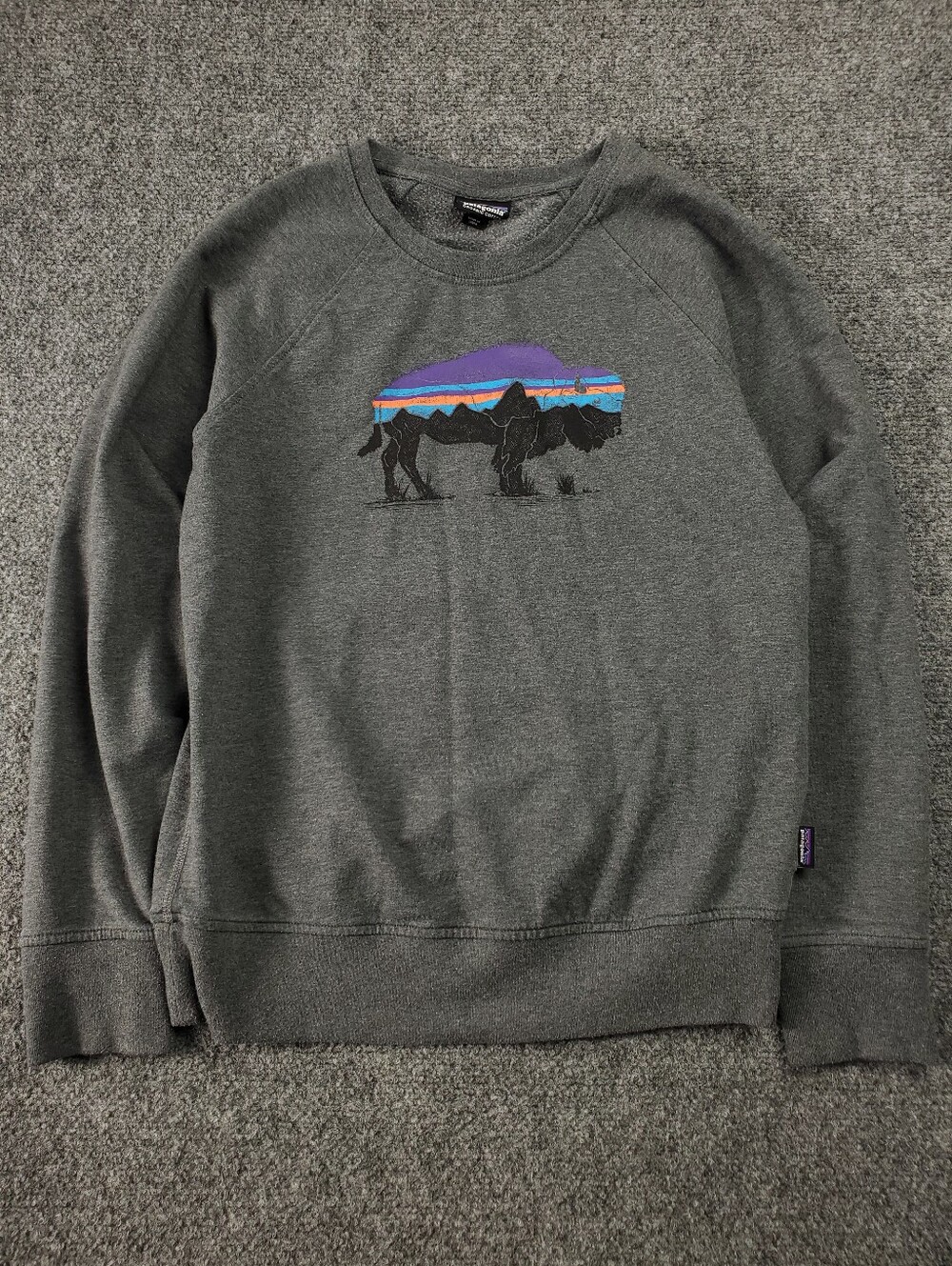 Patagonia Fitz Roy Bison Ahnya Crewnexk Sweatshirt Womens XS Pullover Sweater